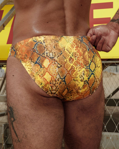 Skinny Swim Brief - Gold Serpent