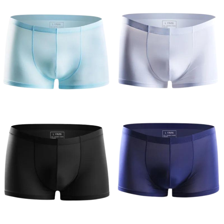 Ice Embrace Transparent Boxer Briefs (4 Pack)