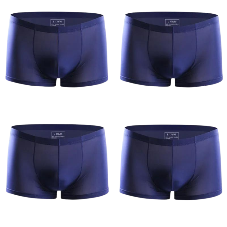Ice Embrace Transparent Boxer Briefs (4 Pack)