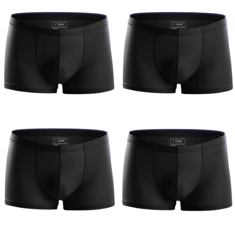 Ice Embrace Transparent Boxer Briefs (4 Pack)