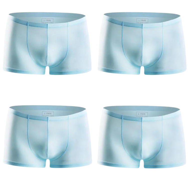 Ice Embrace Transparent Boxer Briefs (4 Pack)