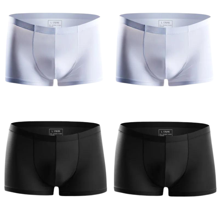Ice Embrace Transparent Boxer Briefs (4 Pack)