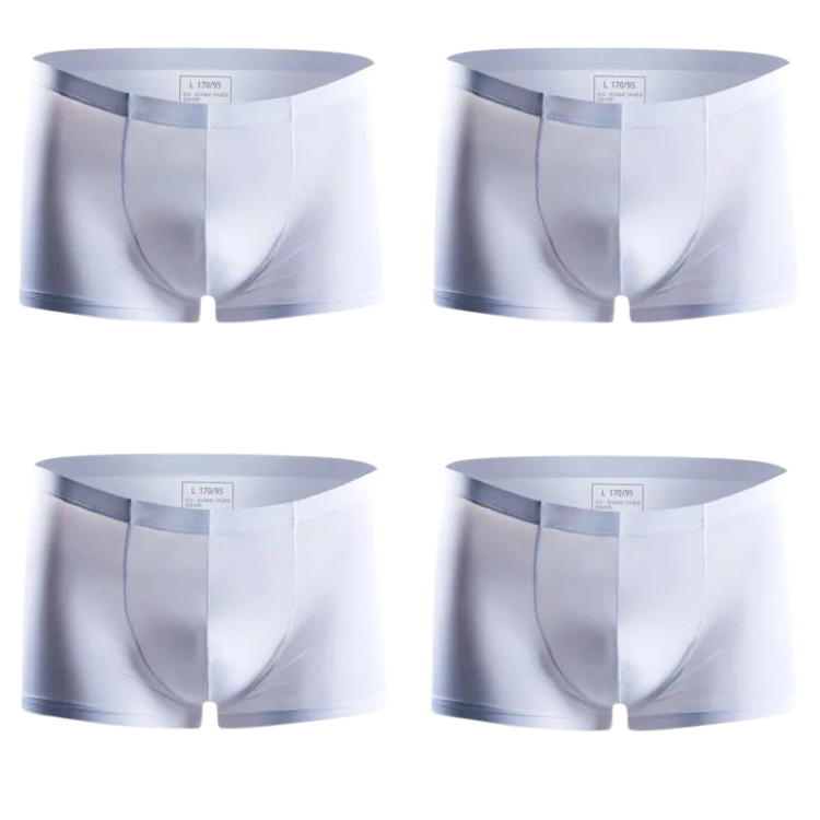Ice Embrace Transparent Boxer Briefs (4 Pack)