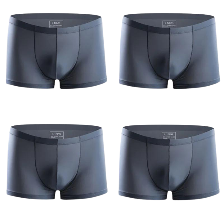 Ice Embrace Transparent Boxer Briefs (4 Pack)