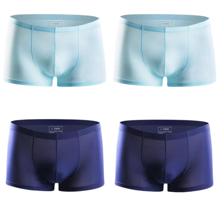Ice Embrace Transparent Boxer Briefs (4 Pack)