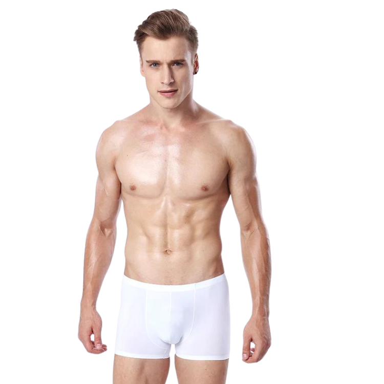 Ice Embrace Transparent Boxer Briefs (4 Pack)