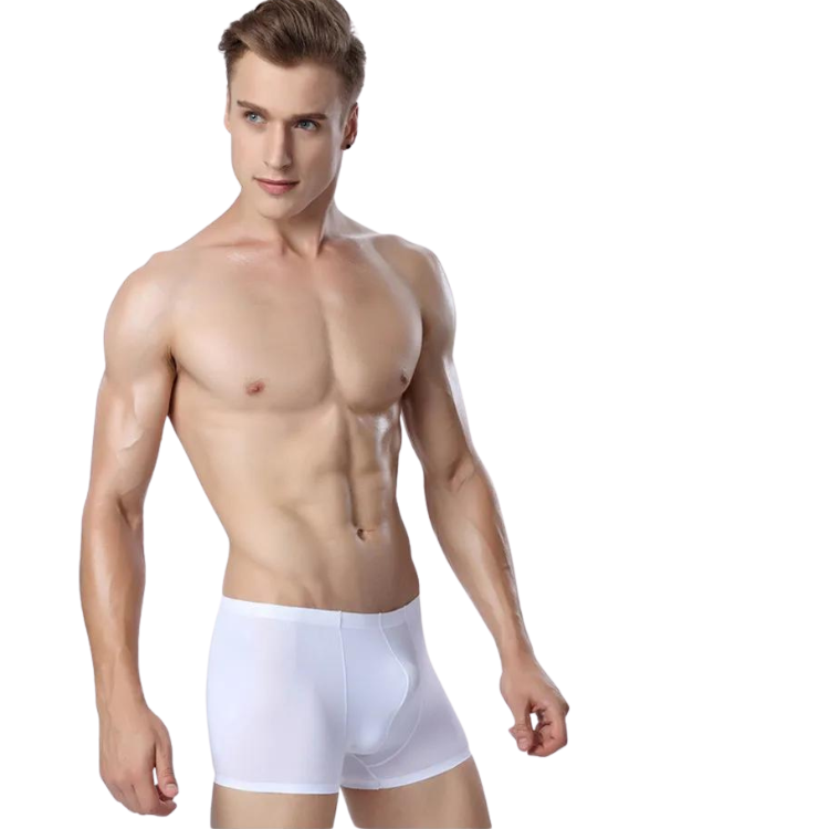 Ice Embrace Transparent Boxer Briefs (4 Pack)