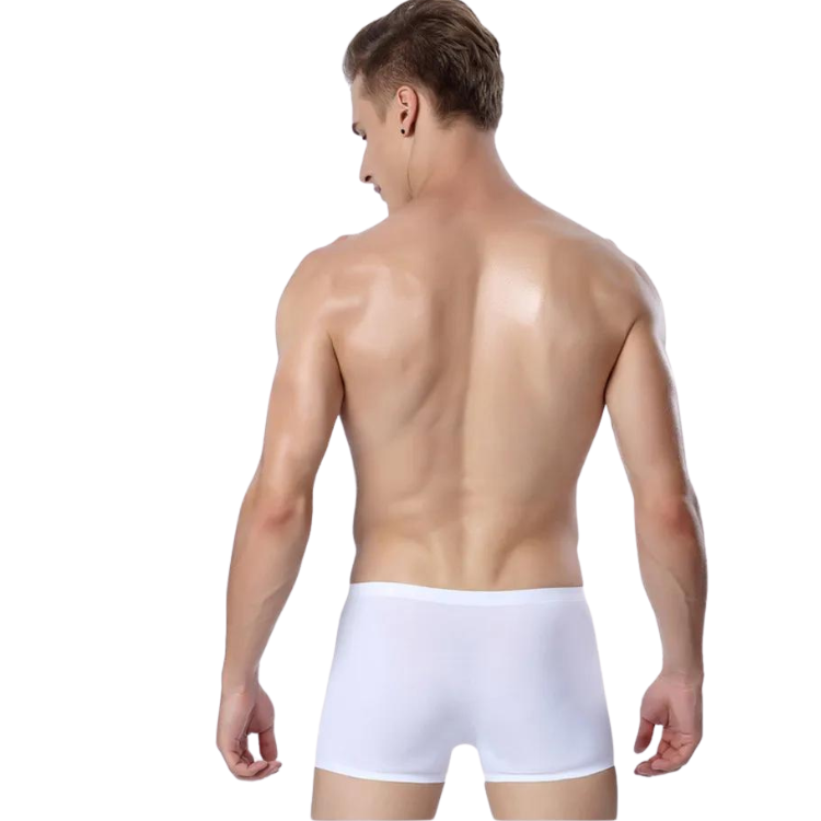 Ice Embrace Transparent Boxer Briefs (4 Pack)