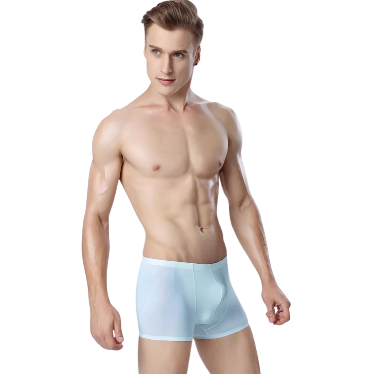 Ice Embrace Transparent Boxer Briefs (4 Pack)