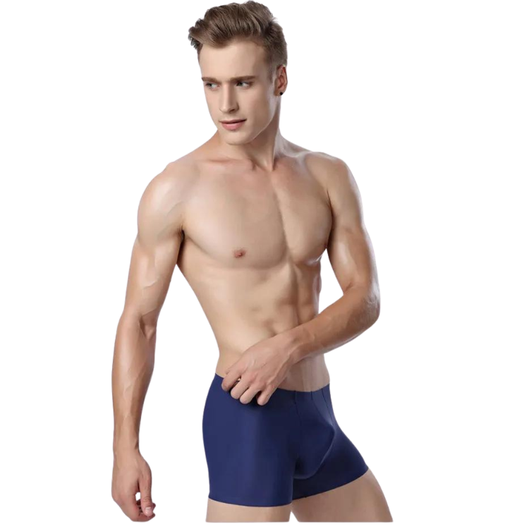 Ice Embrace Transparent Boxer Briefs (4 Pack)