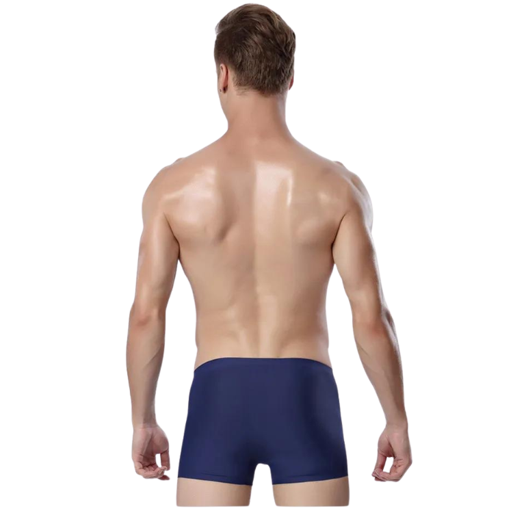 Ice Embrace Transparent Boxer Briefs (4 Pack)