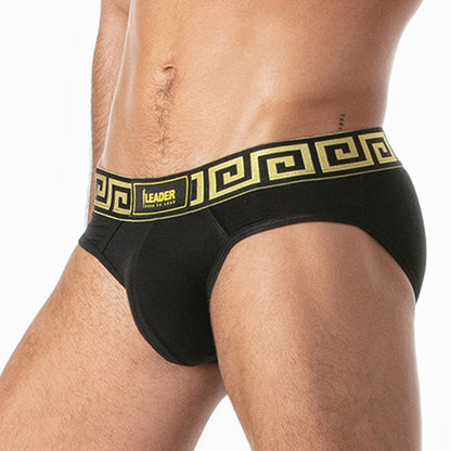 LEADER Invictus Brief Black-Gold