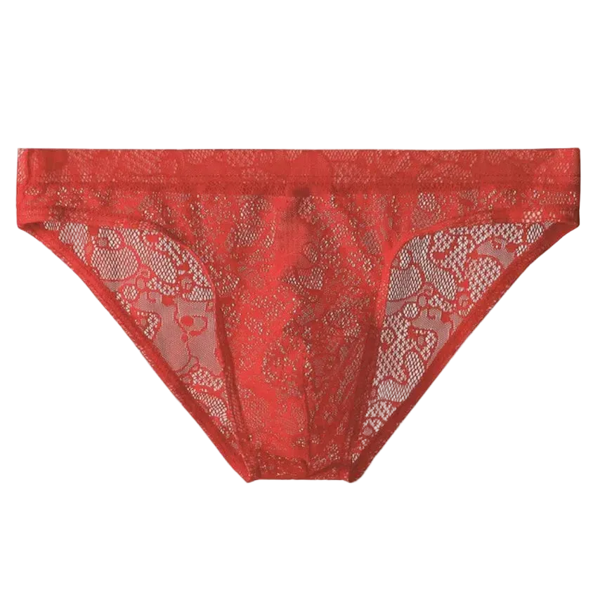Lace Sexy Semi-Transparent Panties For Men