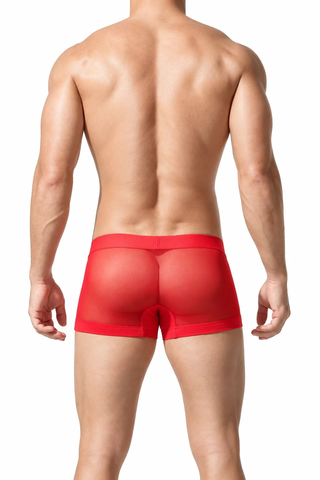 Men’s Transparent Boxer Briefs – Breathable & Sexy