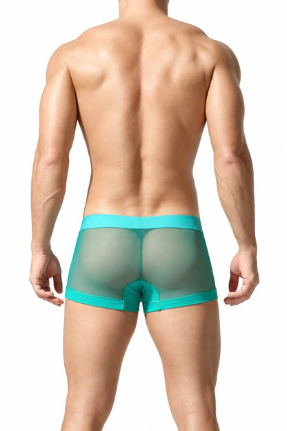 Men’s Transparent Boxer Briefs – Breathable & Sexy