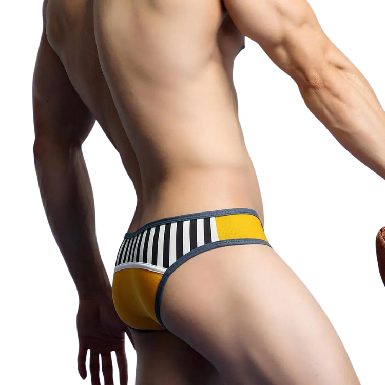 No. 56 Sporty Briefs Success