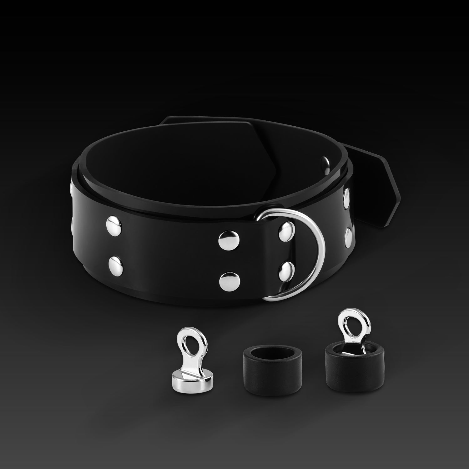 Nothosaur Silicone Collar with Magnetic Lock