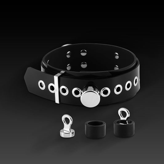 Nothosaur Silicone Collar with Magnetic Lock