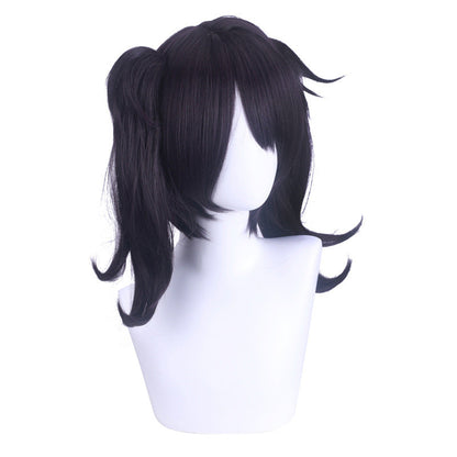 Double Ponytail Wig