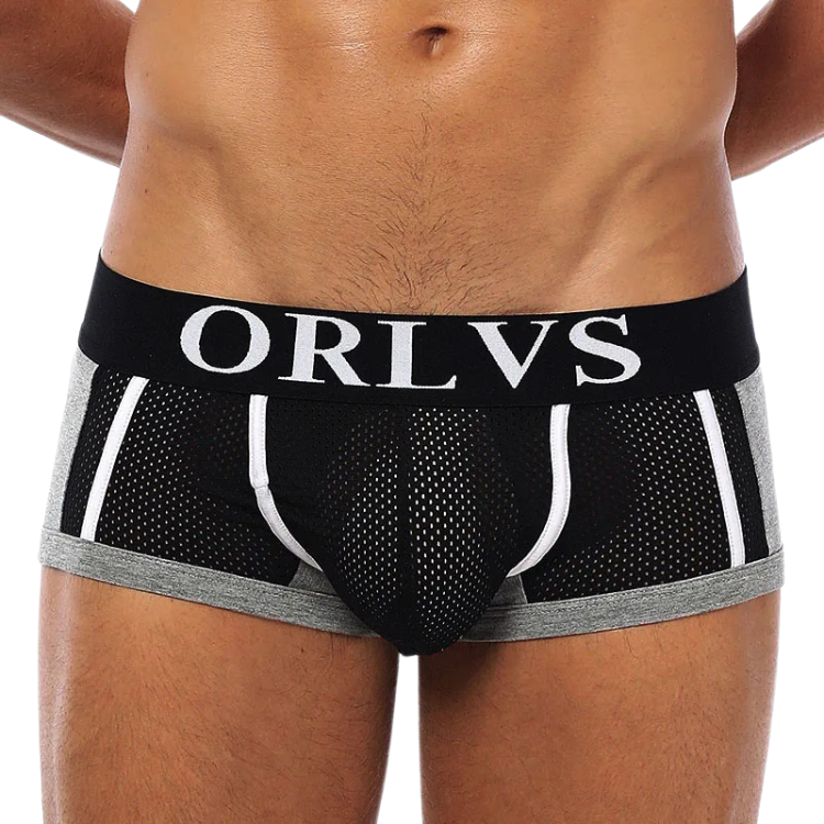 ORLVS Mesh Pocket Boxers