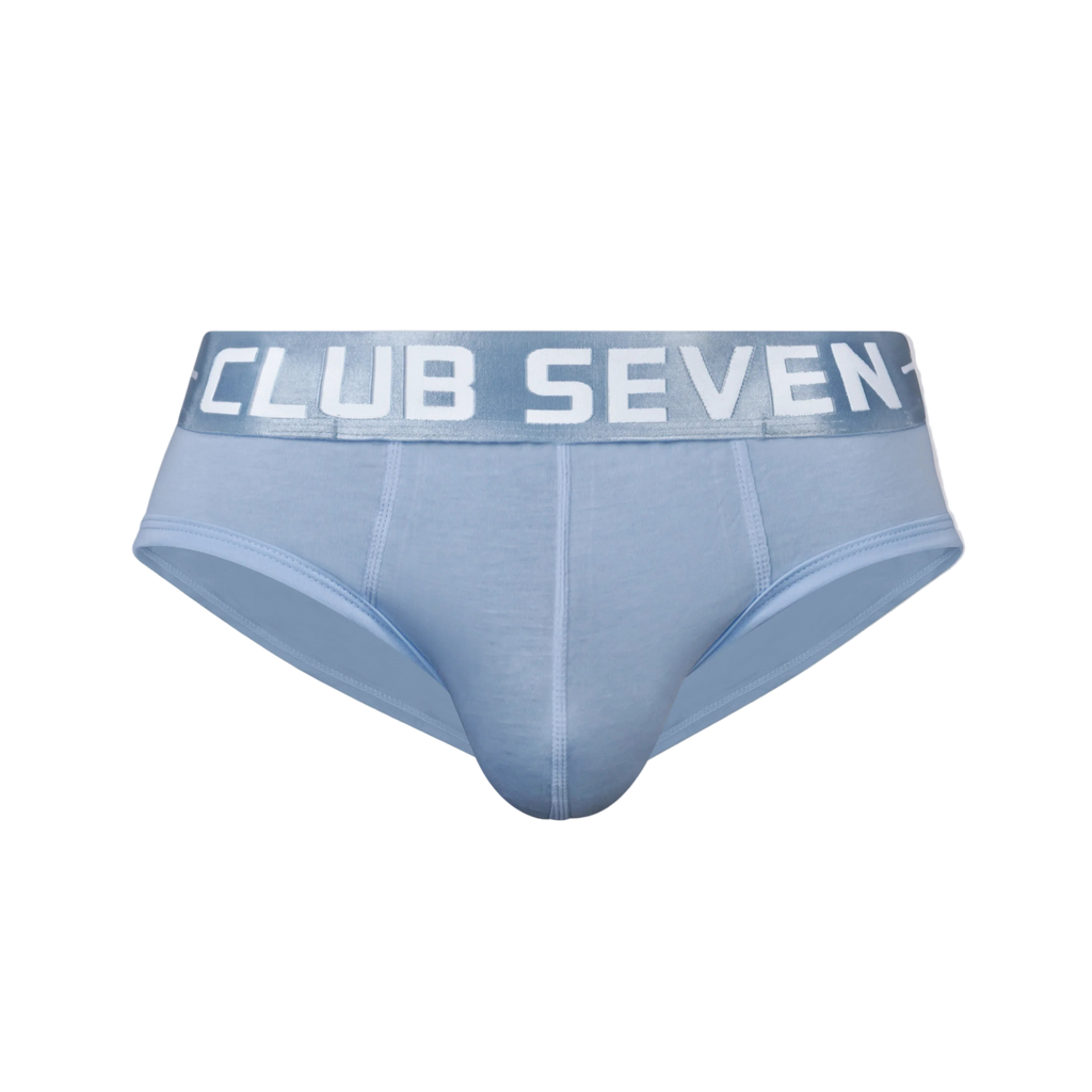 LUXE Cotton Briefs Blue