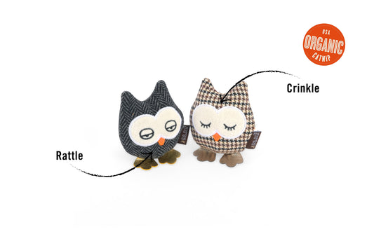 Feline Frenzy Hooti-ful Owls
