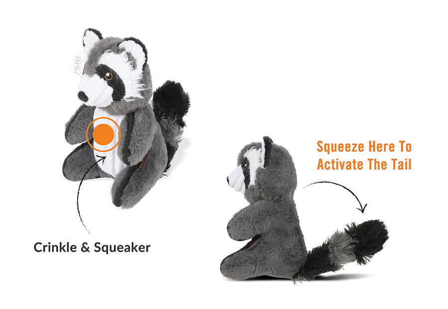 Forest Friends - Robby the Raccoon