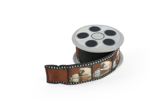 Hollywoof Movie Reel Dog Toy