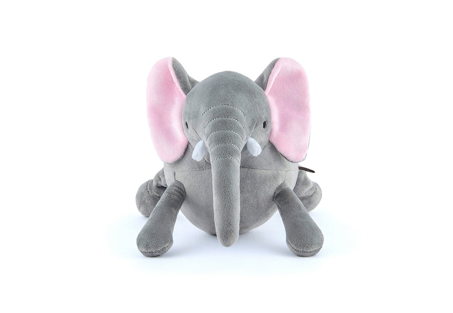 Big Five of Africa - Elephant