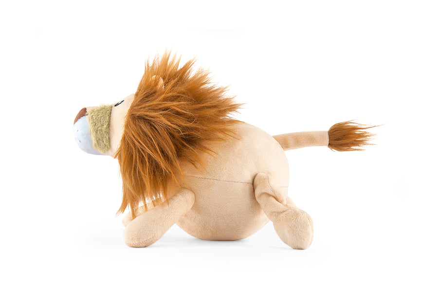 Big Five of Africa - Lion