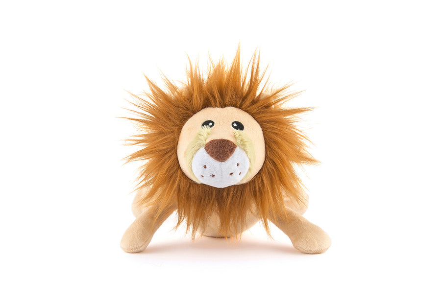 Big Five of Africa - Lion