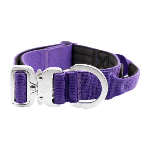 4cm Tactical Collar Purple