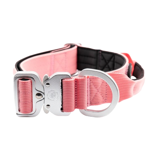 4cm Tactical Collar Pink