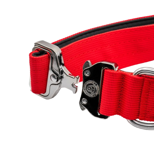 4cm Tactical Collar Red
