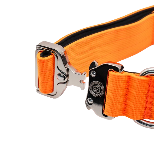 4cm Tactical Collar Orange