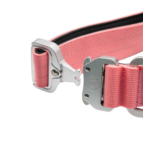4cm Tactical Collar Pink