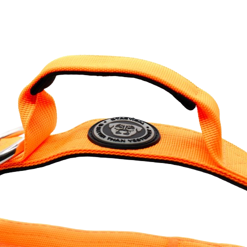 4cm Tactical Collar Orange