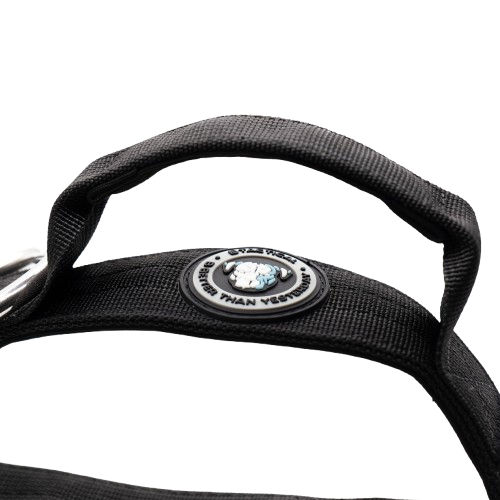 4cm Tactical Collar Black