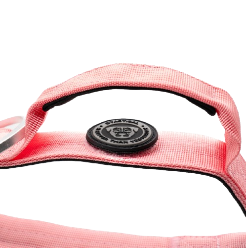 4cm Tactical Collar Pink