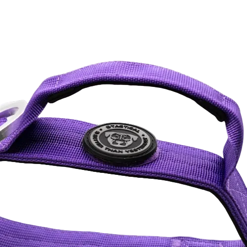 4cm Tactical Collar Purple