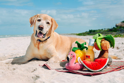 Tropical Paradise Canine Cerveza