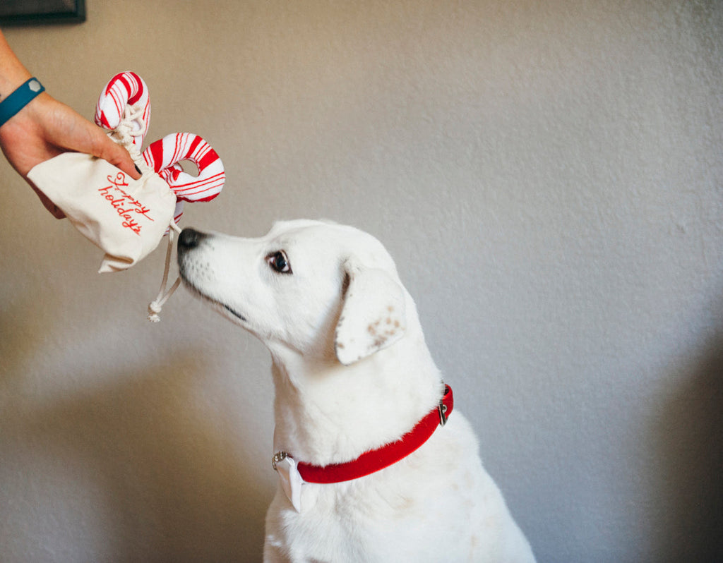 Christmas Candy Canes Plush Toy
