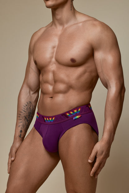VISIBLY BIKINI BRIEF PRIDE - PURPLE