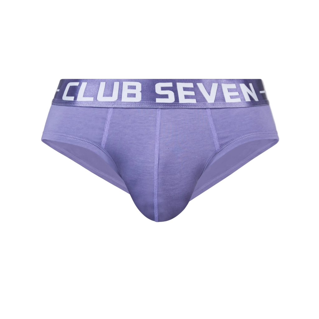 LUXE Cotton Briefs Purple