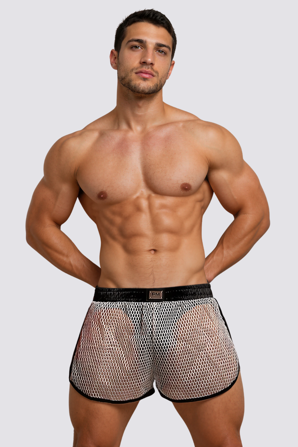 Passion Veil Cutout Mesh Shorts