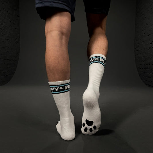 PUPPY SOCKS WHT/AQUA