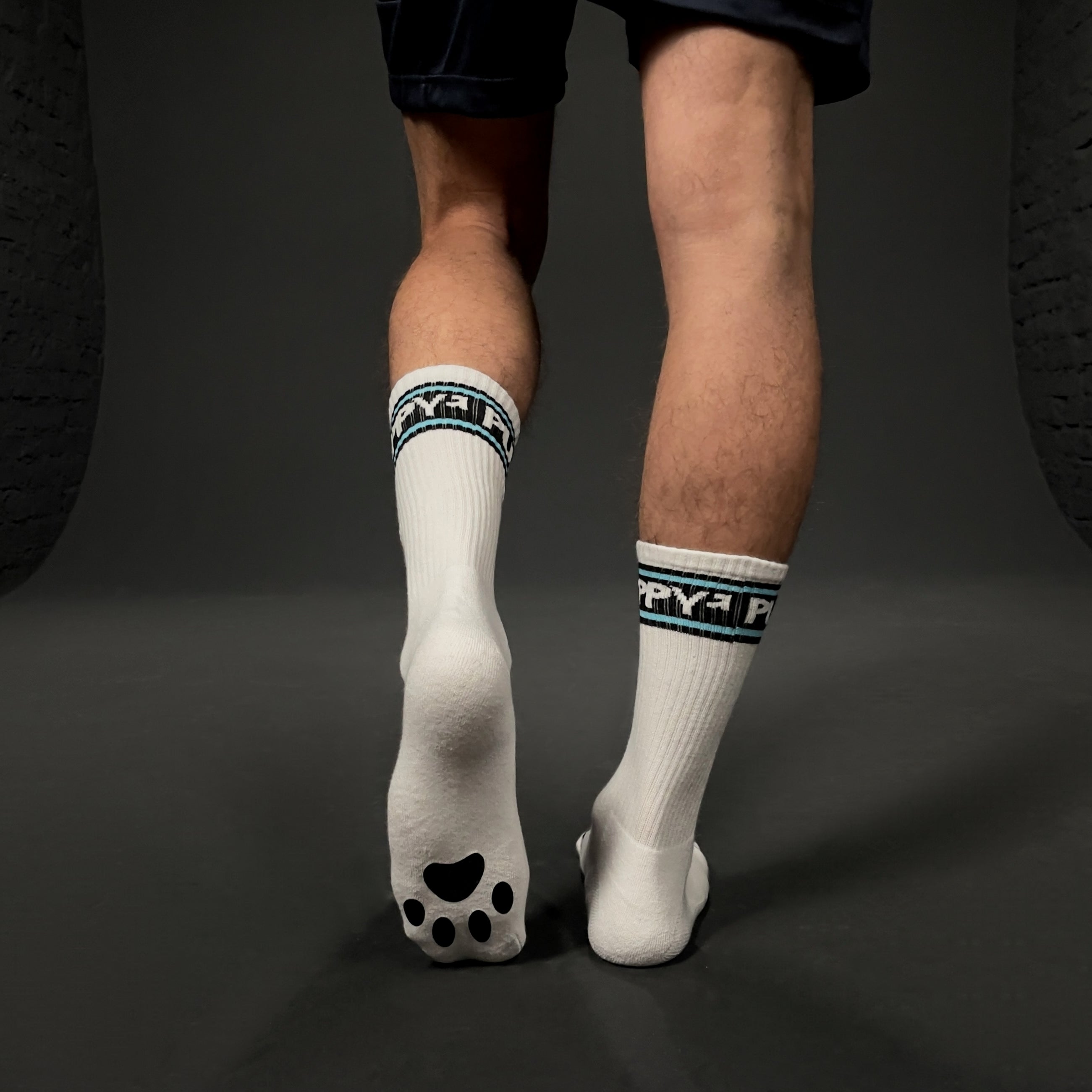PUPPY SOCKS WHT/AQUA