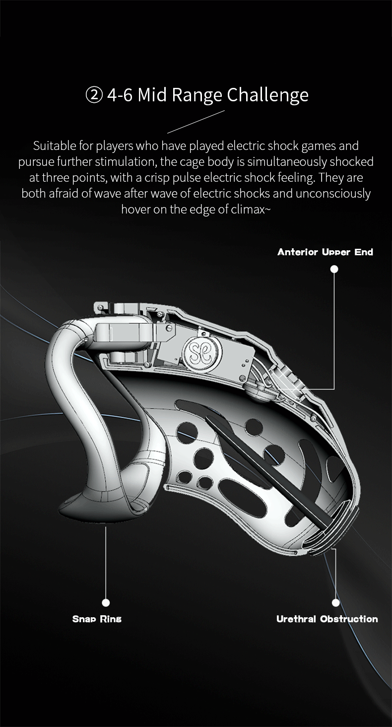 Remote Control Shock Chastity Cage