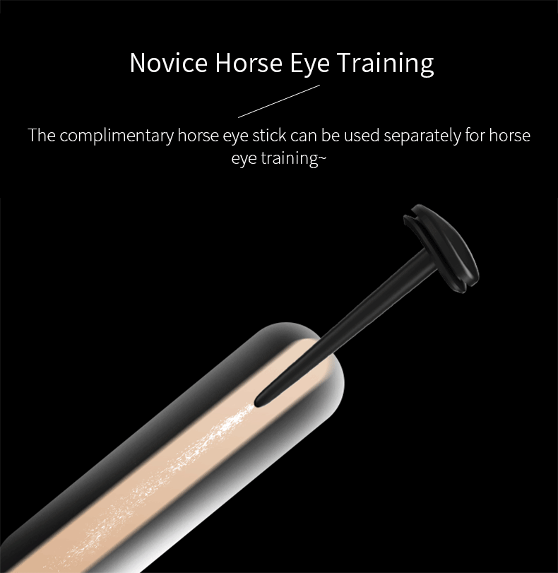 Remote Control Shock Chastity Cage