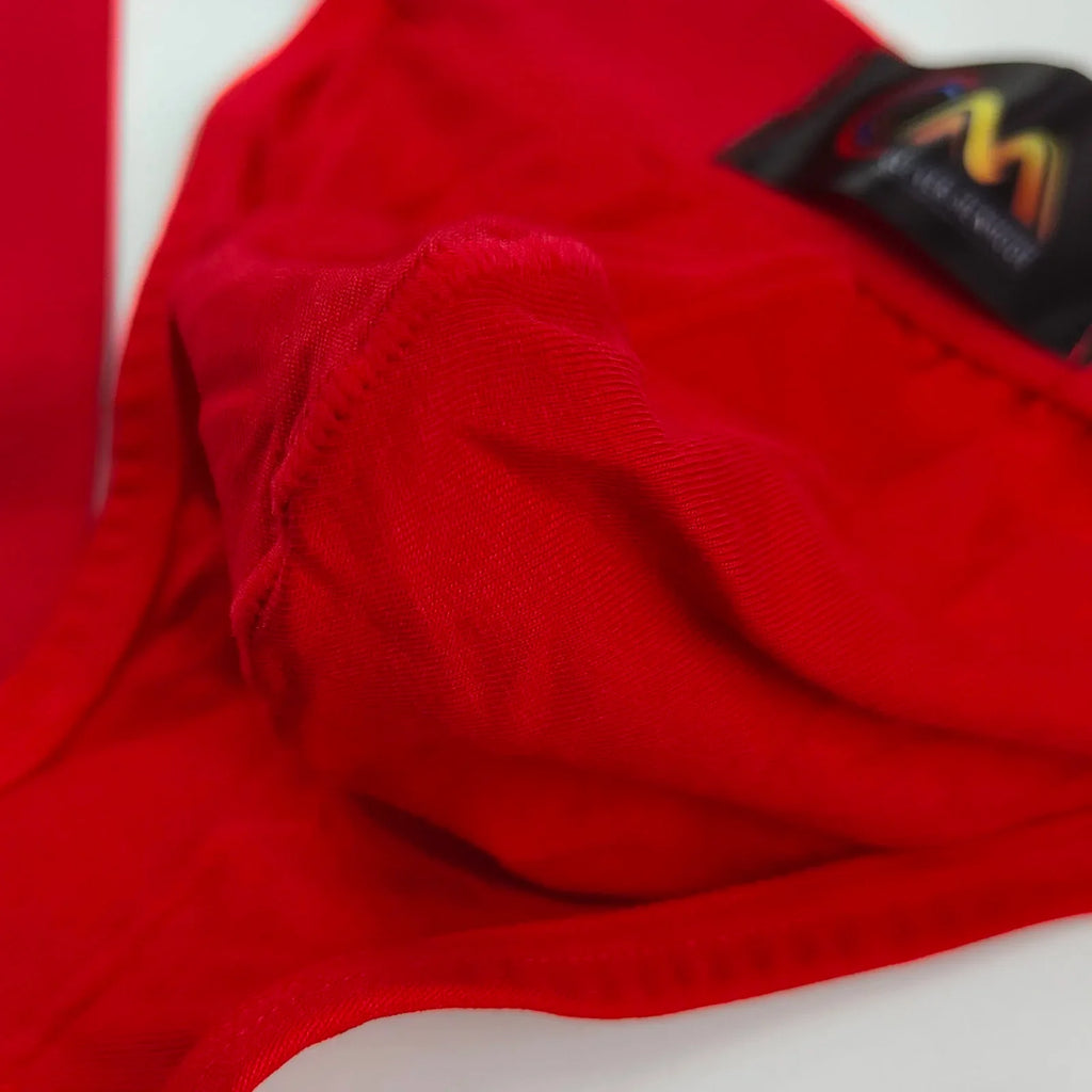 Rainbow Pride Suspender Underwear Outfit